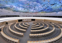 What is the United Nations Human Rights Council?